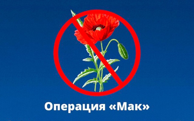 На территории Ростовской области запланировано три этапа проведения региональных межведомственных комплексных оперативно-профилактических операций «Мак-2025»